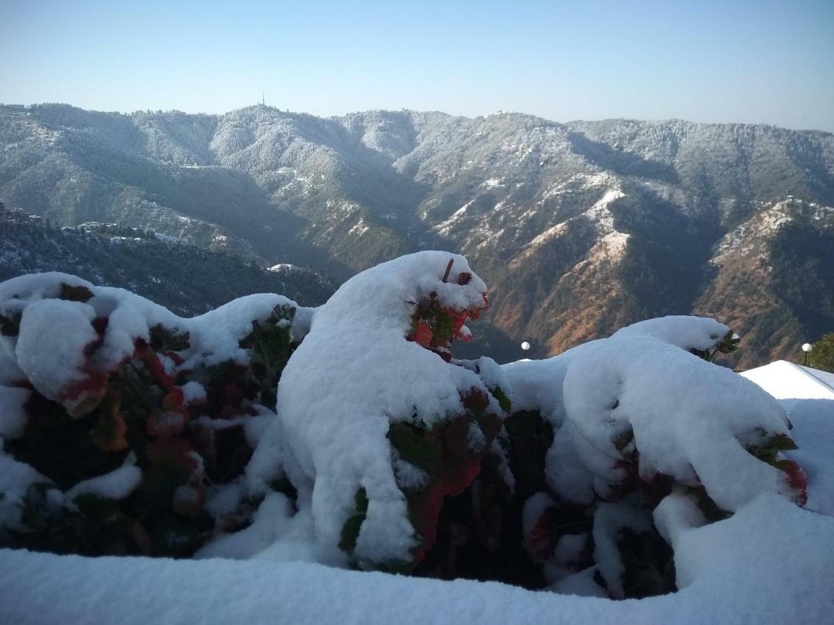 Spangle Heights Shimla, Suites And Residences Zewnętrze zdjęcie